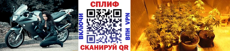 Канабис Ganja  Лобня 
